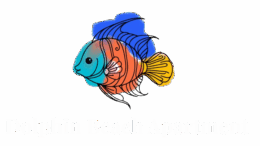 Dolphin Beach Apartment